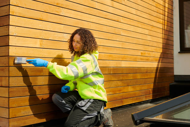 Best Steel Siding Installation  in Security Widefield, CO